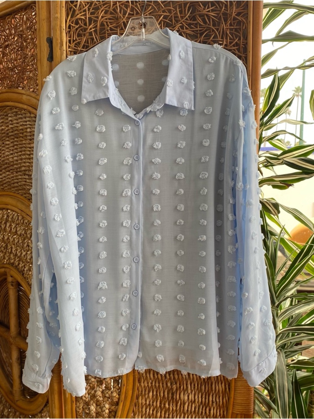 Light Blue Sheer Dot-Texture Button-Up Blouse
